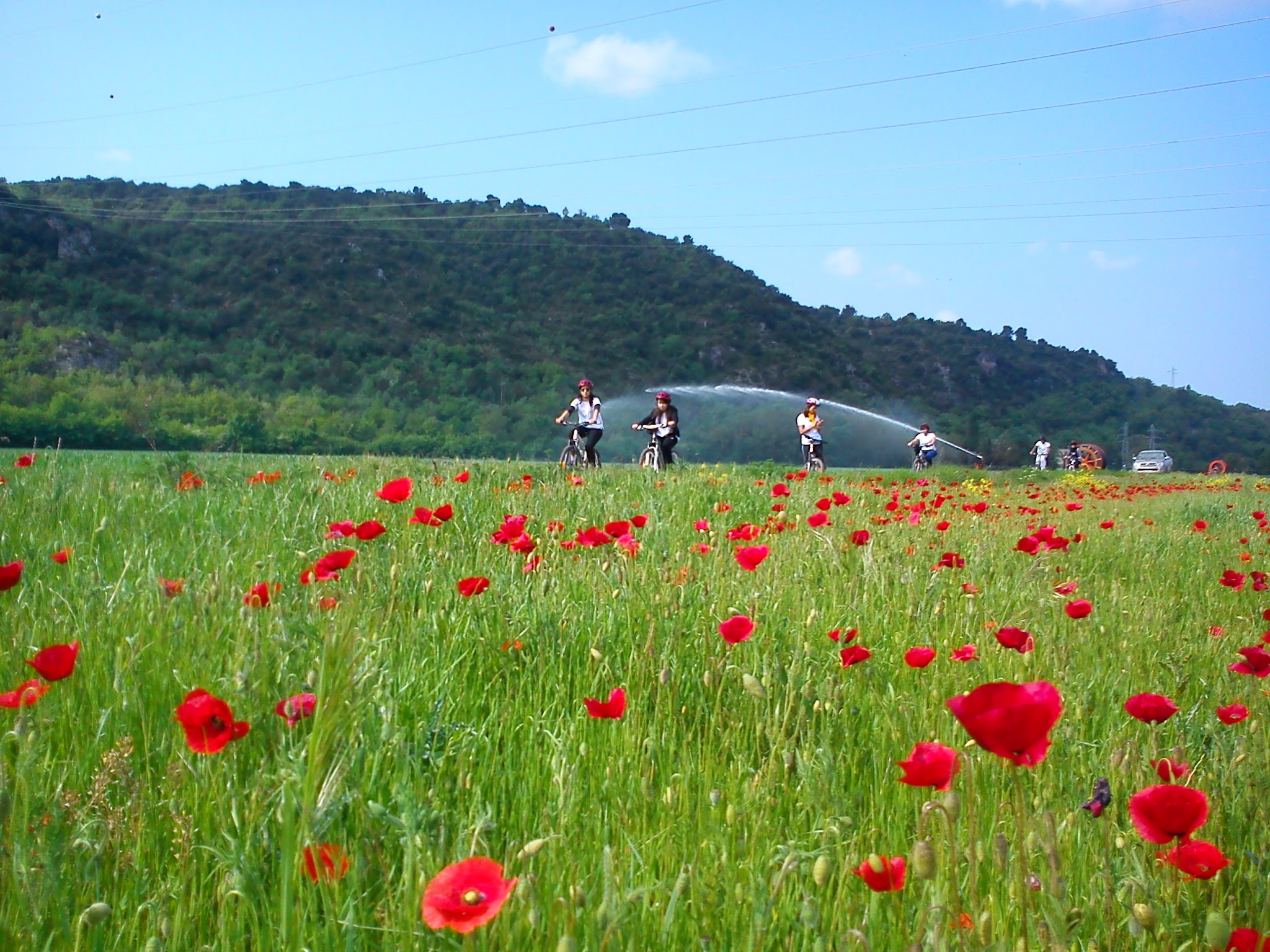 Cyclomundo riders in red poppy field