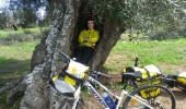 Cycling at your own pace in Apulia and take a nape in an olive tree