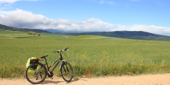 Faites des pauses pour admirer le paysage de la Rioja pendant ce séjour à vélo