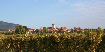 Your cycling ride in Alsace will take you through typical villages, Colmar among others