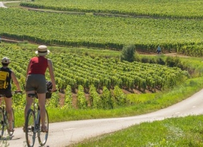 Rouler à travers des vignobles entre Beaune et Dijon pendant ce voyage à vélo