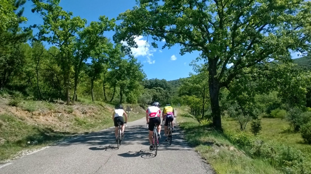avid cycling