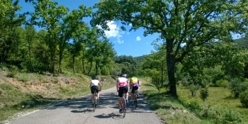 We also organize this cycling tours for groups on a guided basis