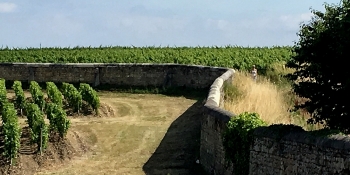 Cycling holidays in the Bordeaux vineyard area