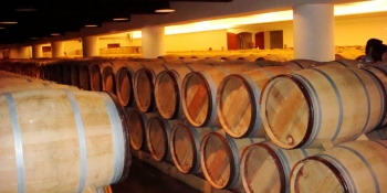Discover wine cellar and wine tasting in Bordeaux wine producing area