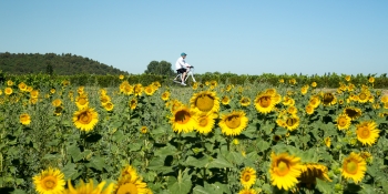 Ce voyage à vélo autoguidé vous emmènera des Côtes-du-Rhône au Luberon en passant par les Alpilles 