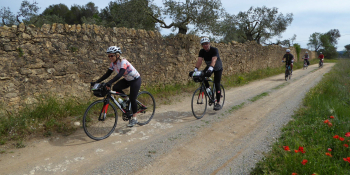 Each day the itinerary involves a different loop to ride from Girona into te Catalonian countryside