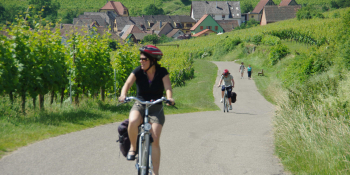 Riding through Alsace countryside on la Route des vins