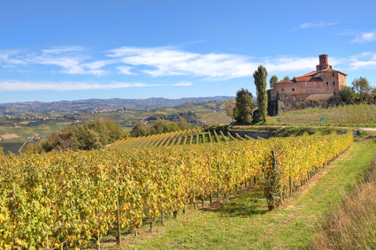 Piedmont's Rolling Hills