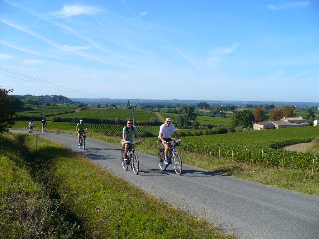 Cycling through Bordeaux's vineyards