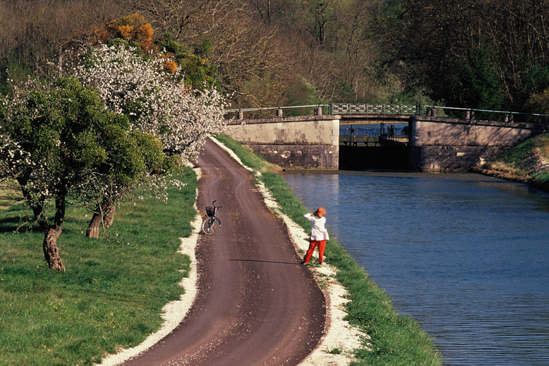 Center Canal in Burgundy