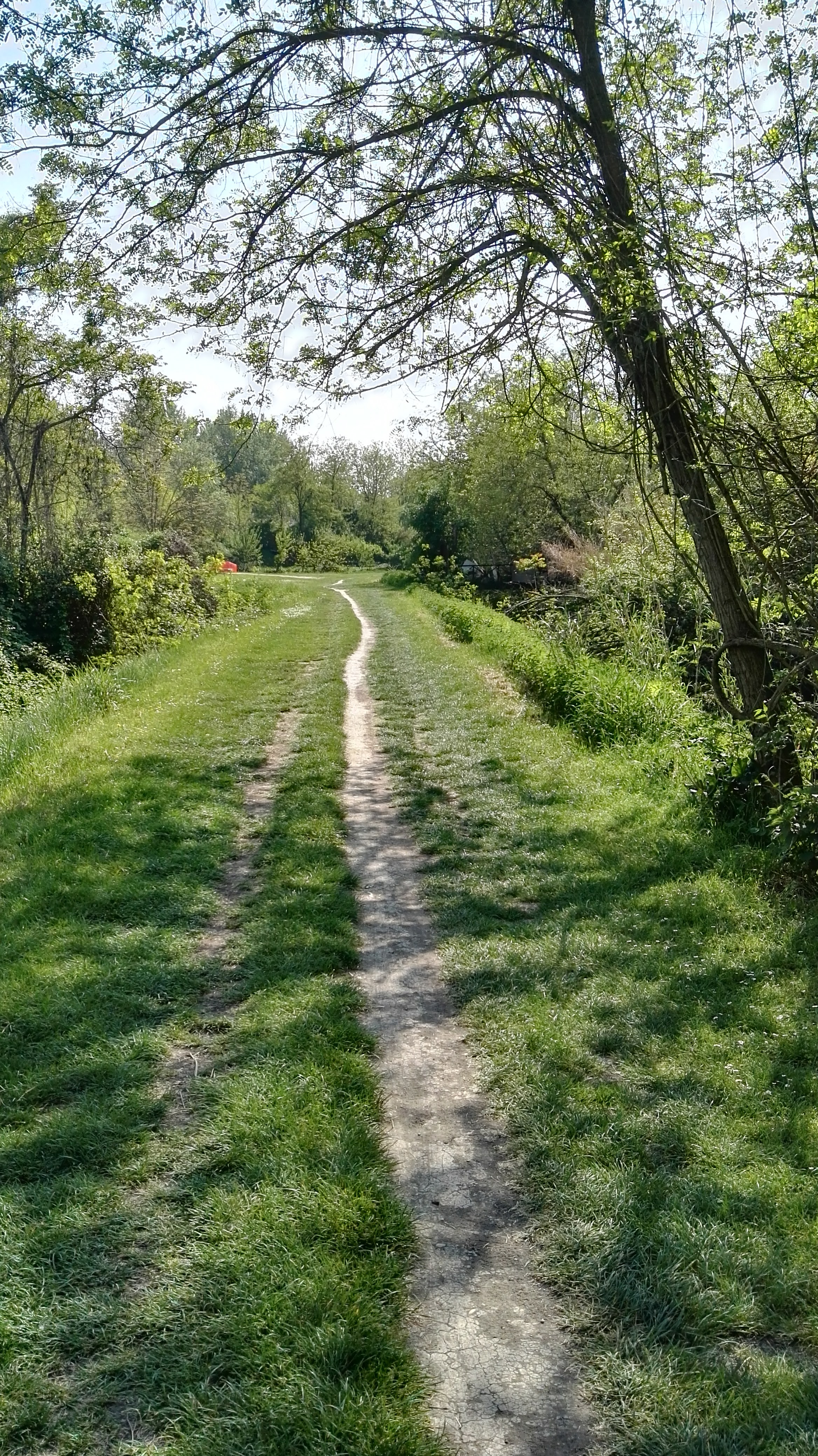 Emilia-Romagna bike path