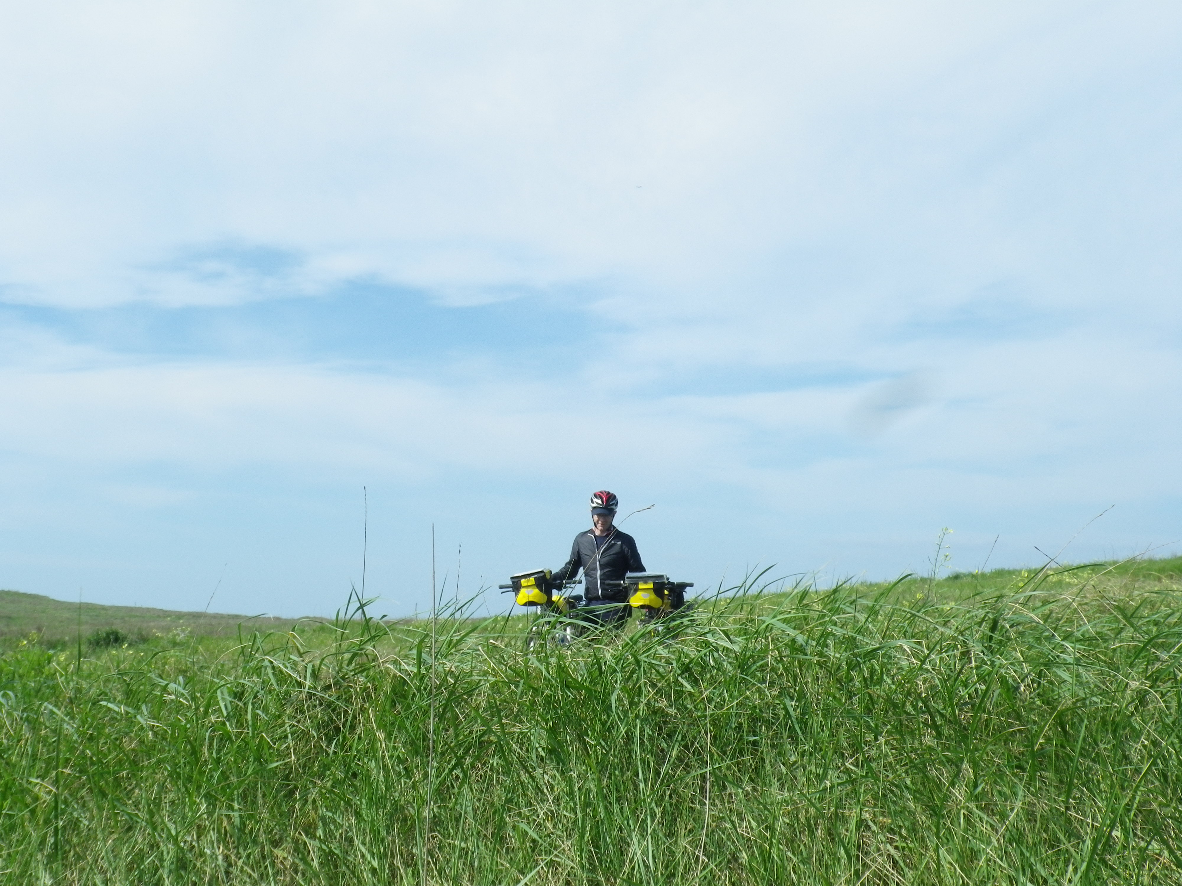 A rolling field in Apulia