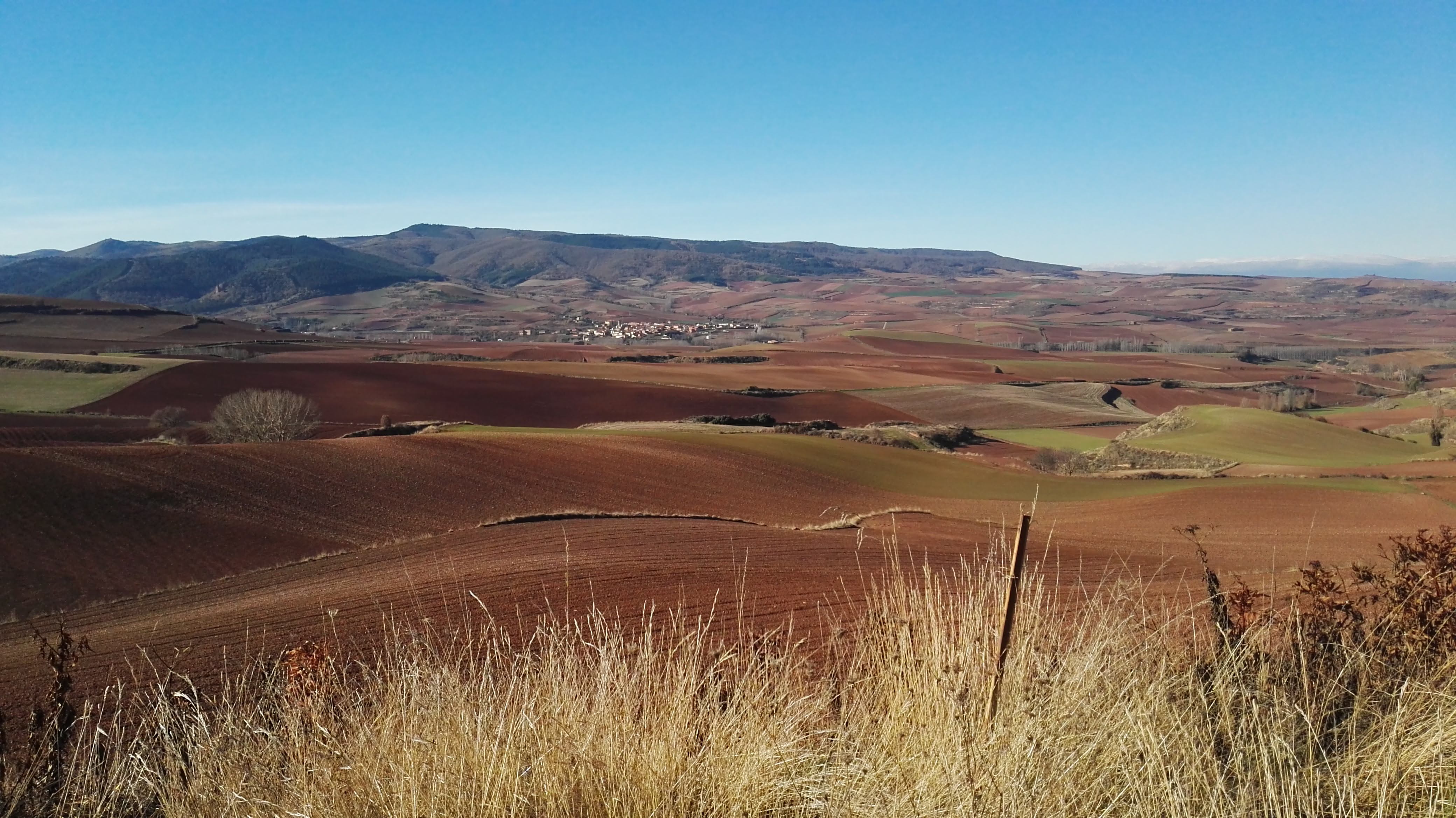 La Rioja typical landscape