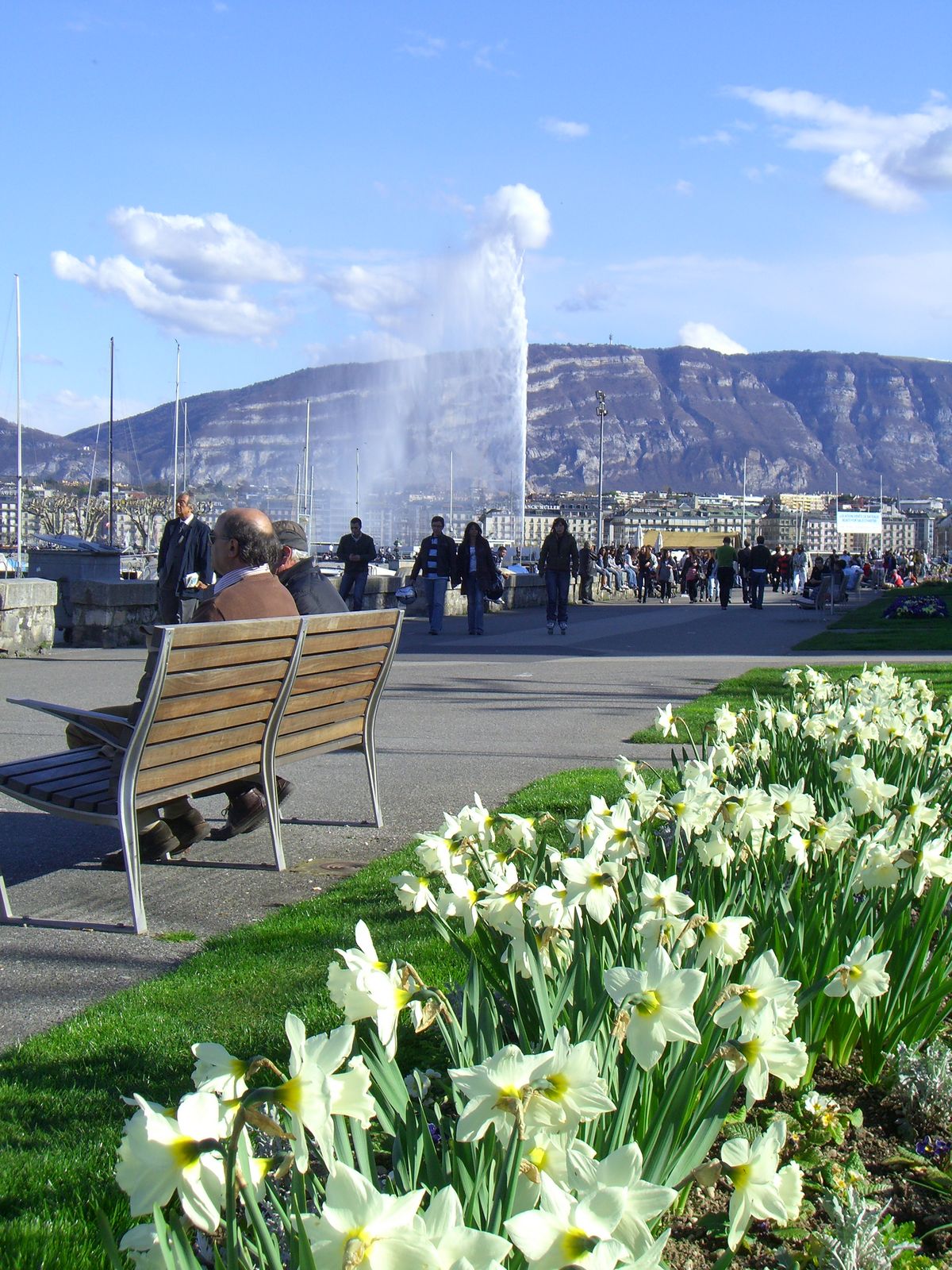 Jet d'Eau with flowers