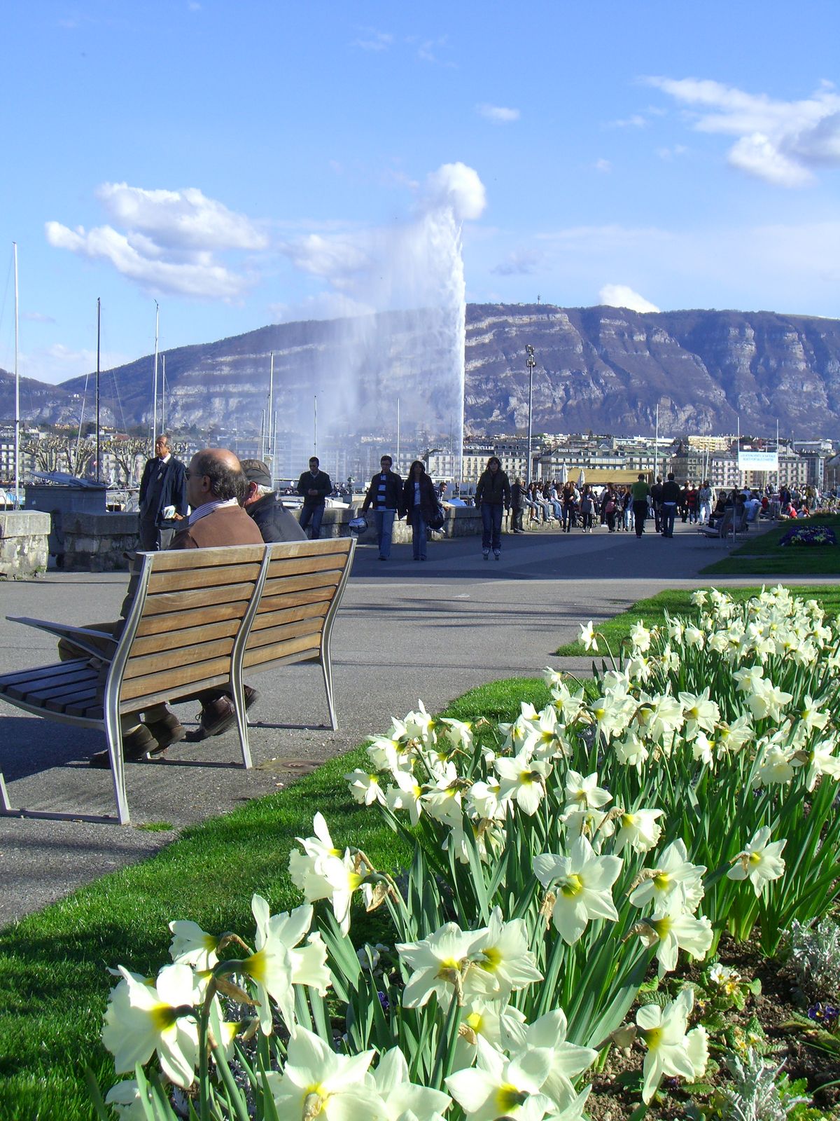 Jet d'Eau with flowers