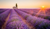 Voyage en Provence à travers la Provence: Alpilles, Luberon, Verdon