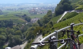 A vélo dans les vignobles du Lavaux