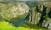 Cycling the Douro Valley in Portugal, where the Porto wine is produced