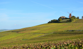 Notre voyage à vélo vous conduira à travers les vignobles de la Champagne entre Reims et Epernay. 