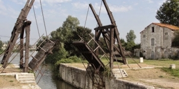 On this cycling tour, you'll ride through Arles and its countryside