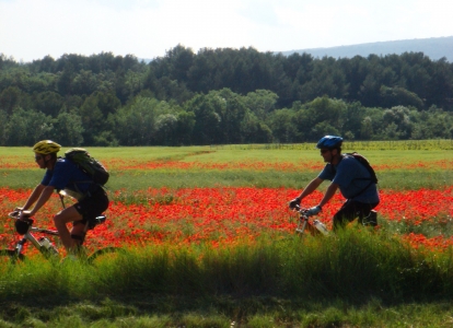 Décuvrir Les couleurs éclatantes de Provence pendant ce séjour à vélo