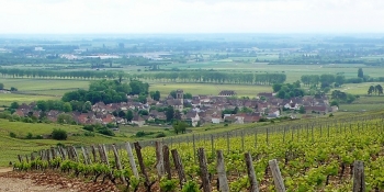 Ce séjour à vélo suit un parcours à travers la campagne et les vignobles du Beaujolais