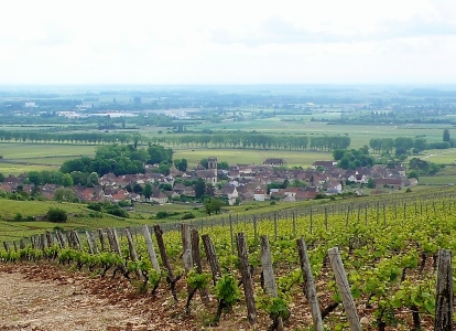 Ce séjour à vélo suit un parcours à travers la campagne et les vignobles du Beaujolais