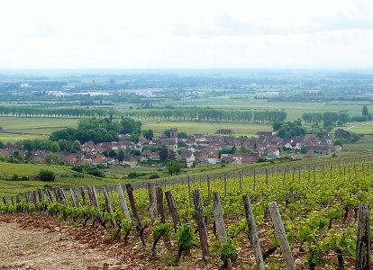 Beaune and its Hospices and colorful rooftops are part of most cycling tours