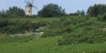 The itinerary takes you through countryside with beatiful windmills 