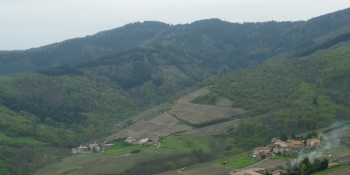 Admire the landscapes in Beaujolais while riding your cycling tour
