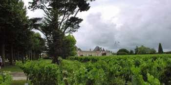 Cycling on quiet roads in Bordeaux wine producing area