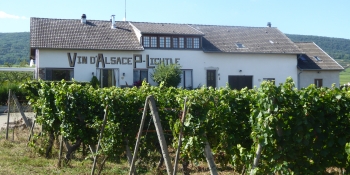 L'Alsace est connue pour sa production viticole