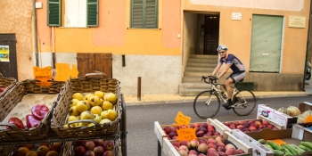 You will discover a wide variety of sceneries on this biking tour: local markets, lavender fields, vineyards, forests...