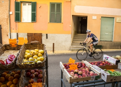 From local markets to lavender fields, experience authentic Provence You will discover a wide variety of sceneries on this biking tour: local markets, lavender fields, vineyards, forests...