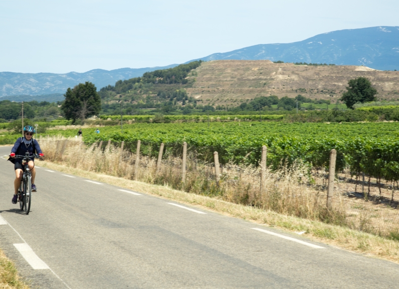 Ce séjour à vélo en Provence passe à côté des endroits très célèbres pour la production viticole 