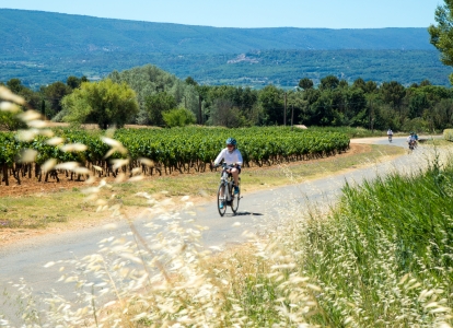 Ce séjour à vélo vous mène aux vignobles les plus connus de Provence