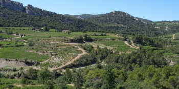 Visiter Les Côtes-du-Rhône en faisant ce voyage à vélo