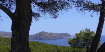 Profitez des vues magnifiques sur la Mer Méditerranée pendant ce voyage à vélo