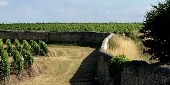 Vous pédalerez à travers des vigonbles du Médoc