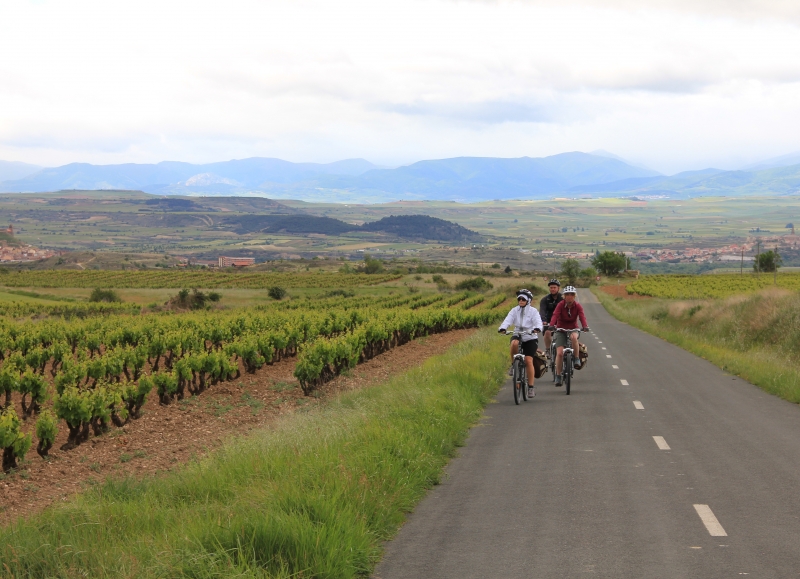 Rouler à travers des vignobles de la Rioja pendant ce voyage à vélo