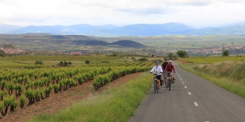 Rouler à travers des vignobles de la Rioja pendant ce voyage à vélo