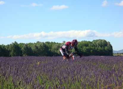 A vélo à travers la lavande en Haute Provence