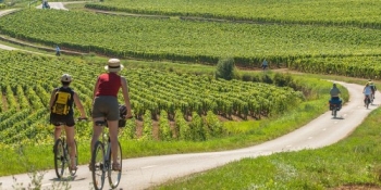 Rouler à travers des vignobles entre Beaune et Dijon pendant ce voyage à vélo