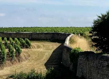 Cet itinéraire vous permettra de découvrir le Bordelais