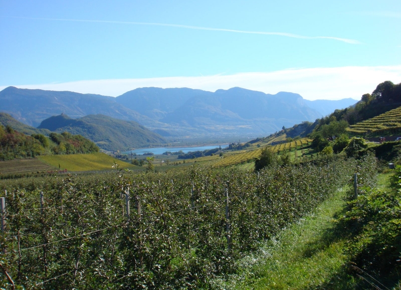 Cet itinéraire à vélo traverse des vallées alpines verdoyantes