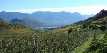 Cet itinéraire à vélo traverse des vallées alpines verdoyantes