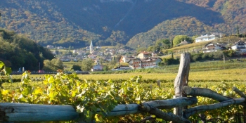 Admire the vineyards on the foothills of hilly villages