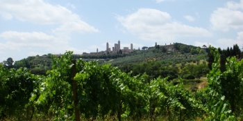 Bike through the countryside vineyards