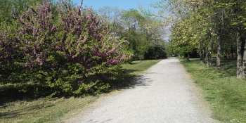 Our bicycle trip will take you through farmlands on a discovery tour of the gastronomic treasures Emilia-Romagna offers